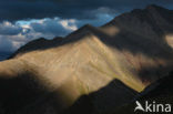 Pyrenees