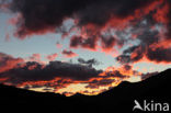 Pyrenees