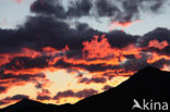 Pyrenees