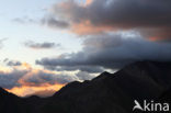 Pyrenees