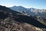 Pyrenees