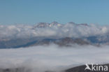 Pyrenees