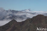 Pyrenees