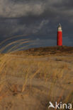 Vuurtoren Eierland