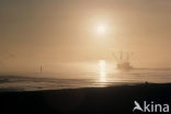 Waddenzee