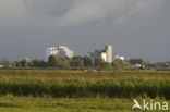 Wormer- en Jisperveld