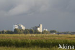 Wormer- en Jisperveld