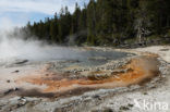 Yellowstone National Park