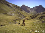 Col du Tourmalet