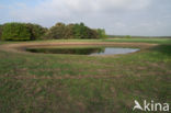 Groote Heide