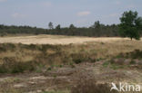 Nationaal Park Grenspark De Zoom