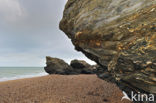 Plage des Cinq Pineaux