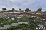 Plage des Cinq Pineaux