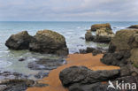 Plage des Cinq Pineaux