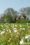 Schokland