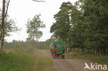 Veluwe