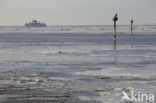 Waddenzee