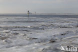 Waddenzee