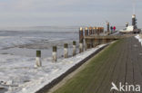 Waddenzee