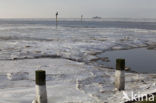 Waddenzee