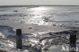 Waddenzee