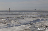 Waddenzee