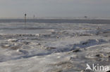 Waddenzee