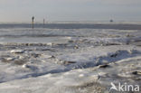 Waddenzee