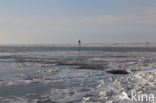 Waddenzee