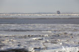 Waddenzee