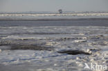 Waddenzee