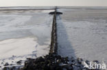 Waddenzee