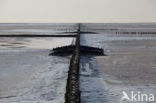 Waddenzee