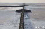 Waddenzee