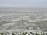 Waddenzee