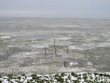 Waddensea