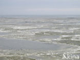 Waddensea