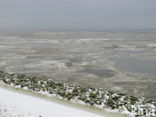 Waddensea