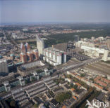 The Hague