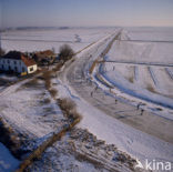 Friesland