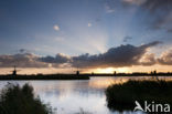 Kinderdijk