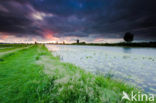 Kinderdijk