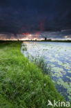 Kinderdijk