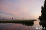 Kinderdijk