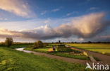 Kinderdijk