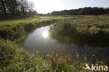 Nationaal beek- en esdorpenlandschap Drentsche Aa