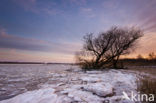 Nationaal Park de Biesbosch