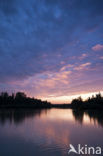 Nationaal Park de Biesbosch