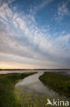 Nationaal Park de Biesbosch