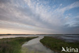 Nationaal Park de Biesbosch